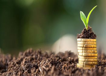 ماجستير التحليل المالي ودراسات الجدوى الاقتصادية