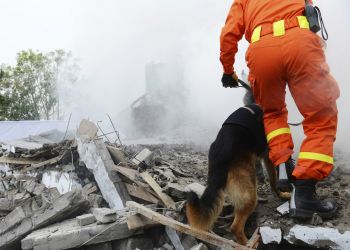 Course in Disaster Management and Emergency Preparedness (DMEP)