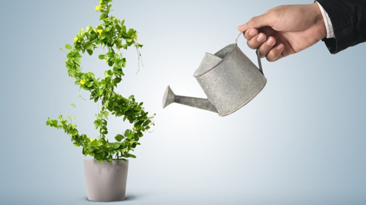 دبلوم إدارة رأس المال والاستثمار الفعال