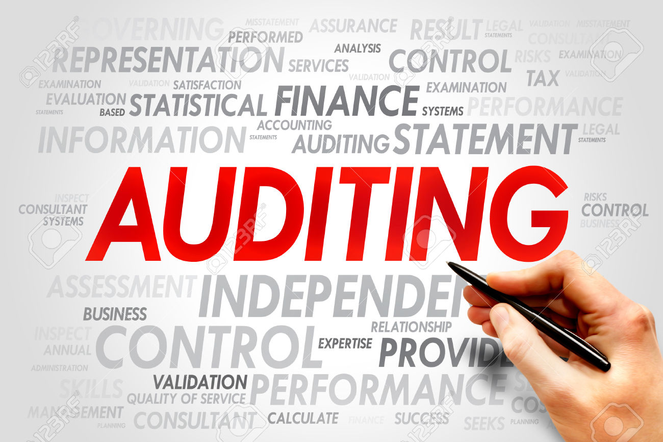 Course in Financial and Quality Controls in Auditing Processes