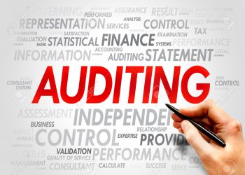 Course in Administrative Auditing and Its Role in Control and Decision-Making