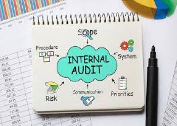  Internal Auditor Program: Achieve Excellence in Internal Auditing