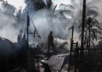 International Disaster Relief Training: Master Global Response Strategies & Field Operations