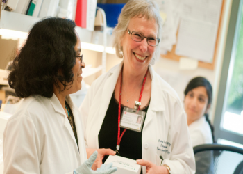 دورة تخطيط التقاعد للموظفين المقبلين على التقاعد