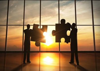 Strategic Alliance and Partnership Management Training Course