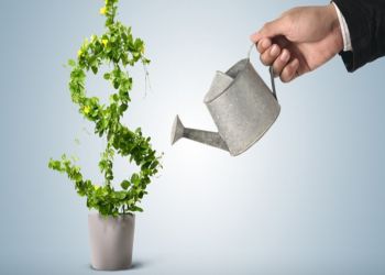 دبلوم إدارة رأس المال والاستثمار الفعال