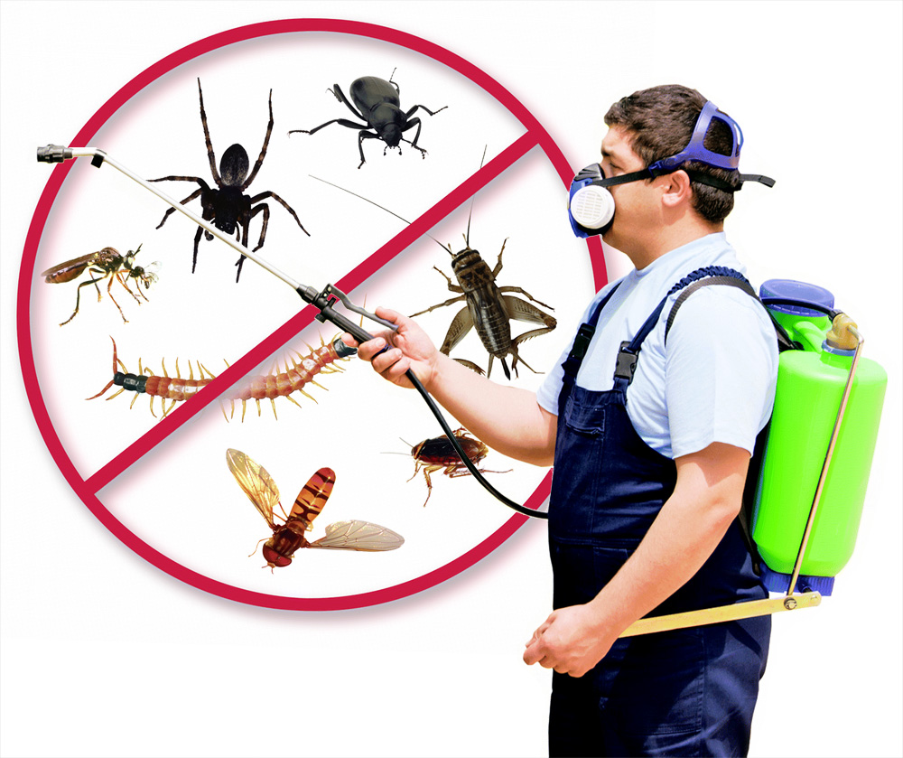 Course in Insect Pest Control Technology for Agricultural Crops