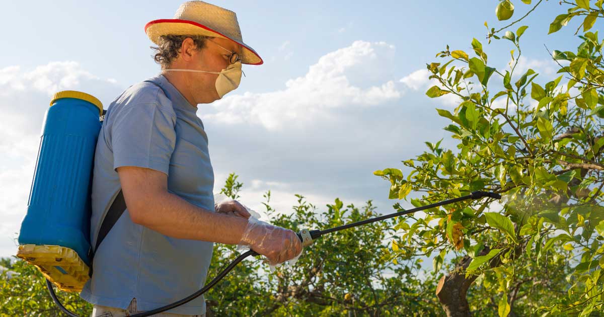 Course in Pesticides – Pros and Cons