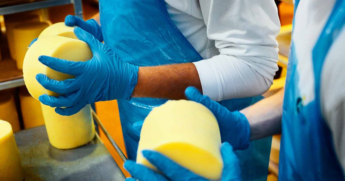 Course in Physical Hazards and Control of Their Risks