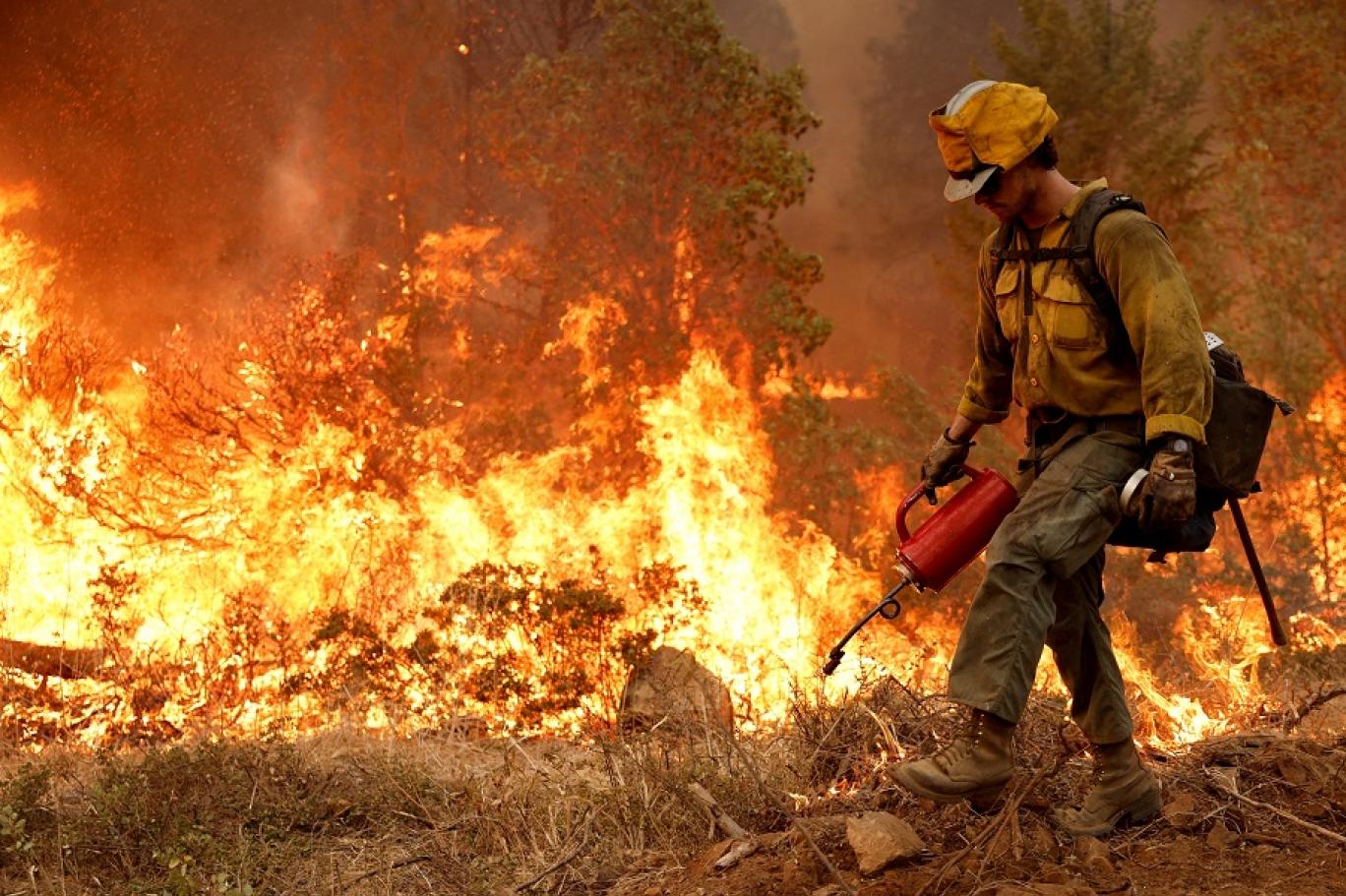 Occupational Health and Safety Manager Program: Investigation of Fire and Explosion Incidents
