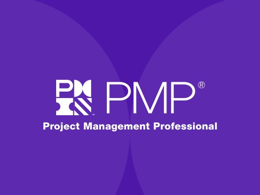 Mastering Project Management Professional (PMP) Certification