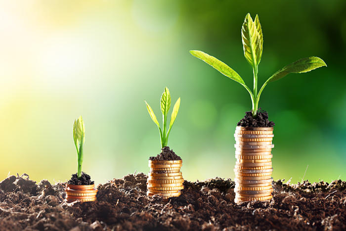 Course in Steps to Success in Trade and Import & Export Operations