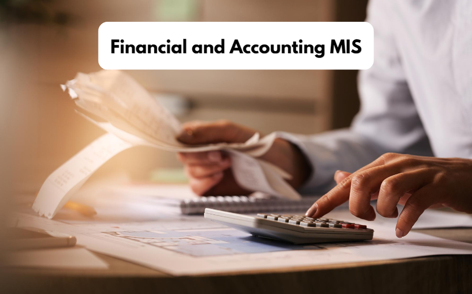 Professional Course in Financial Business Accounting & MIS Reports for Effective Decision-Making